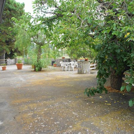 Etna Paradise Locazioni Brevi Ragalna Zewnętrze zdjęcie