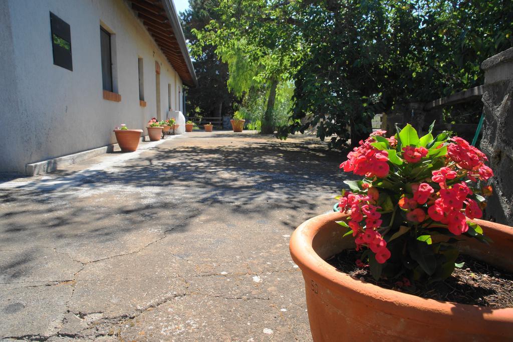 Etna Paradise Locazioni Brevi Ragalna Zewnętrze zdjęcie