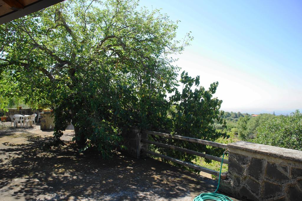 Etna Paradise Locazioni Brevi Ragalna Zewnętrze zdjęcie