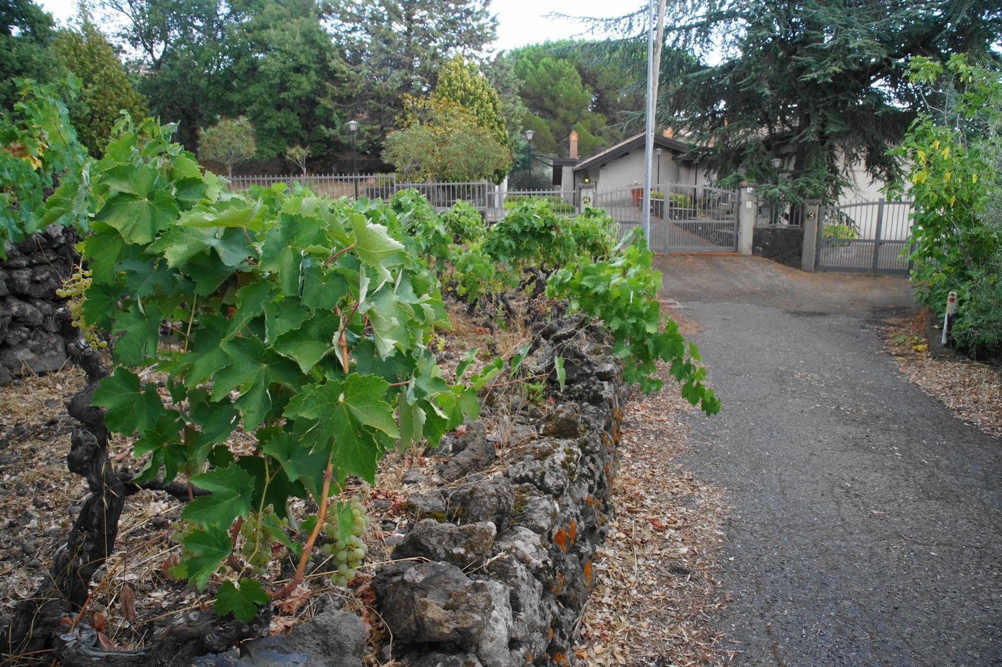 Etna Paradise Locazioni Brevi Ragalna Zewnętrze zdjęcie